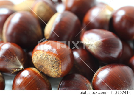 Chestnuts picked up in the fields Chestnuts picked up in the fields 118702414