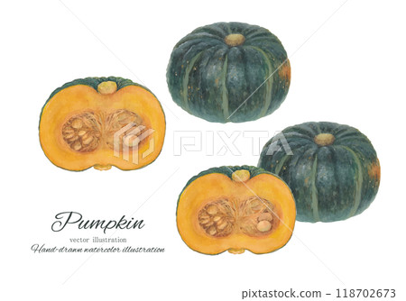 水彩畫的南瓜向量圖素材 118702673