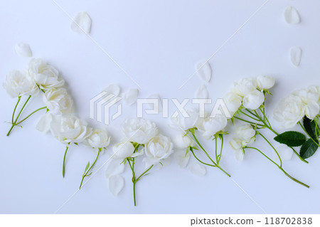 White mini rose petals on white background, rose petal background 118702838