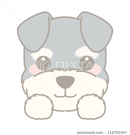 Illustration of a miniature schnauzer 118702847