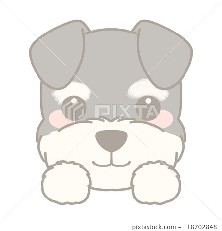 Illustration of a miniature schnauzer 118702848