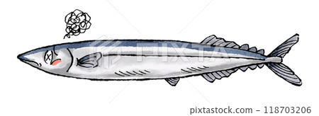 Pacific saury 118703206