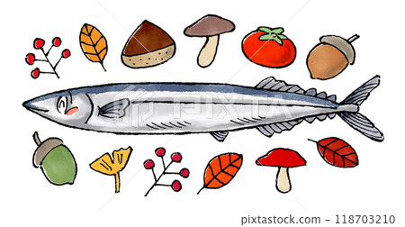 秋刀魚和秋季植物 118703210