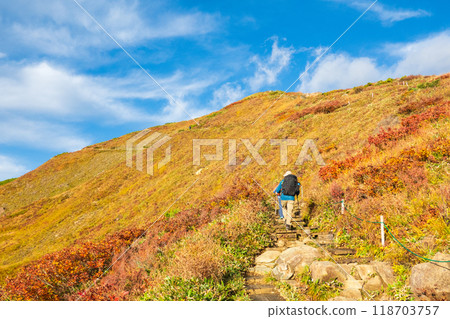 秋天的唐松岳登山(八方池山莊~八方山) 秋天的唐松岳登山(八方池山莊~八方山) 118703757