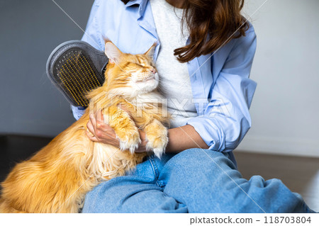 Closeup of woman combing fur Maine Coon cat with brush on the floor. Female taking care of pet Closeup of woman combing fur Maine Coon cat with brush on the floor. Female taking care of pet 118703804