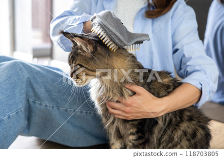 Closeup of woman combing fur Maine Coon cat with brush on the floor. Female taking care of pet Closeup of woman combing fur Maine Coon cat with brush on the floor. Female taking care of pet 118703805
