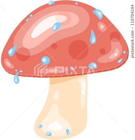 a mushroom on a white background a mushroom on a white background 118704284