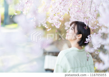 A woman touching a cherry blossom, a woman looking at cherry blossoms, a woman admiring cherry blossoms 118705055