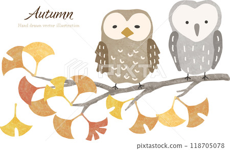 銀杏樹和森林貓頭鷹 銀杏樹和森林貓頭鷹 118705078