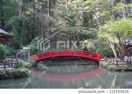 池塘上的紅橋 池塘上的紅橋 118705626
