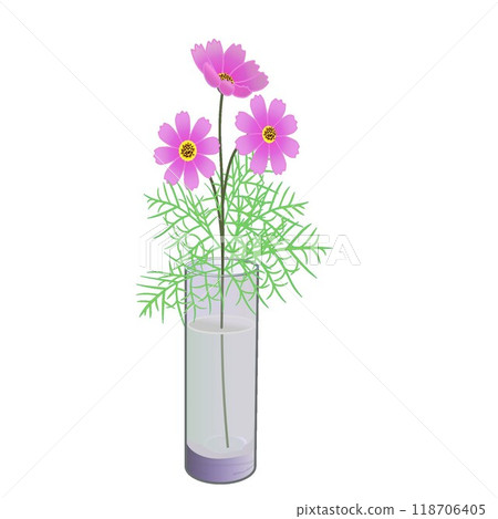 Illustration of cosmos flowers in a glass vase Illustration of cosmos flowers in a glass vase 118706405