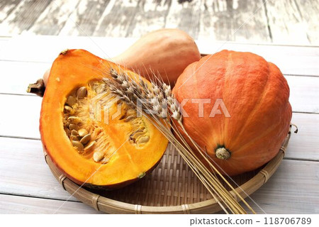 Orange pumpkin Orange pumpkin 118706789