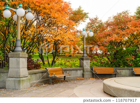 Peaceful park scene with colorful autumn foliage, stone lampposts, and wooden benches Peaceful park scene with colorful autumn foliage, stone lampposts, and wooden benches 118707917