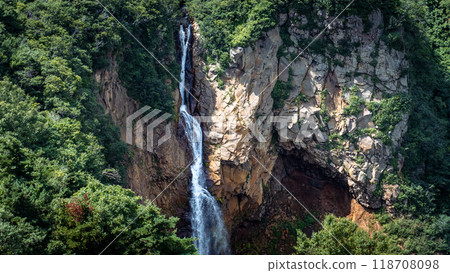 Waterfall shining in fresh green 118708098