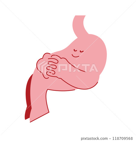 Healthy stomach, stomach at rest, sleeping stomach 118709568