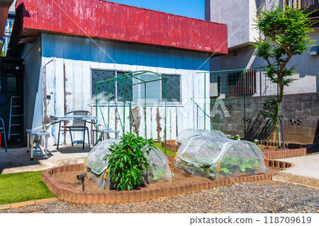 Small family garden 118709619