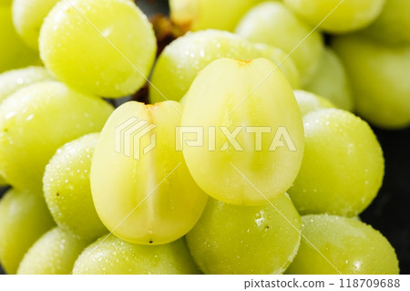 Shine Muscat Shine Muscat 118709688