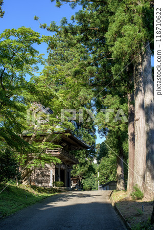 秋田市不動寺三門和杉樹 118710622