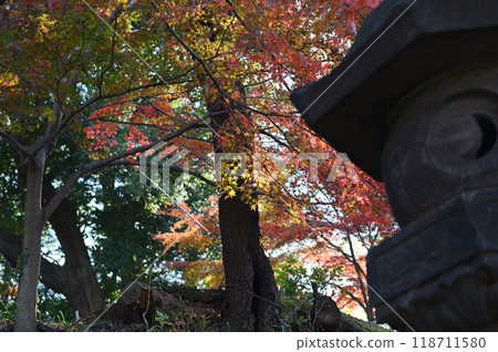 被秋葉包裹的柿野村 118711580