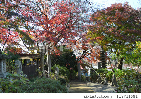 被秋葉包裹的柿野村 被秋葉包裹的柿野村 118711581