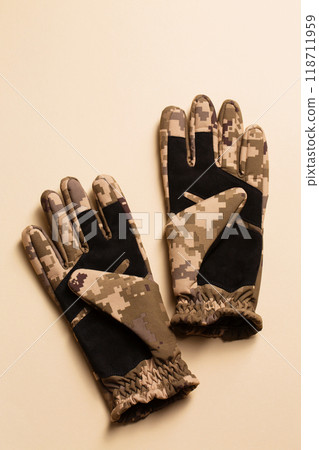 Army gloves on a beige background 118711959