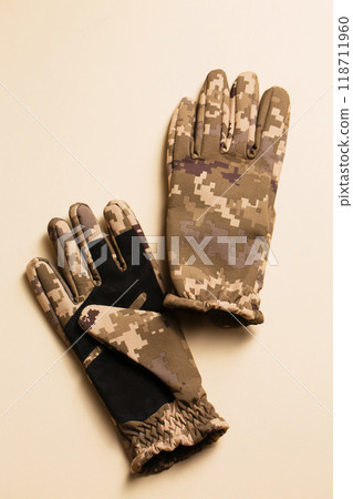 Men's army gloves on a beige background 118711960
