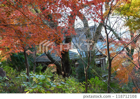 Kakio Village enveloped in autumn leaves Kakio Village enveloped in autumn leaves 118712108