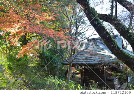 Kakio Village enveloped in autumn leaves Kakio Village enveloped in autumn leaves 118712109