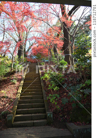 Kakio Village enveloped in autumn leaves Kakio Village enveloped in autumn leaves 118712701