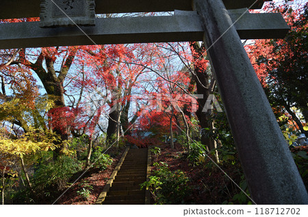 Kakio Village enveloped in autumn leaves Kakio Village enveloped in autumn leaves 118712702