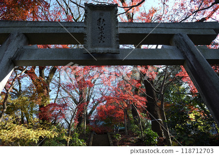 Kakio Village enveloped in autumn leaves Kakio Village enveloped in autumn leaves 118712703