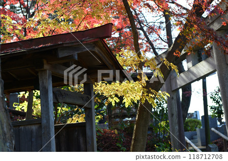 被秋葉包裹的柿野村 被秋葉包裹的柿野村 118712708
