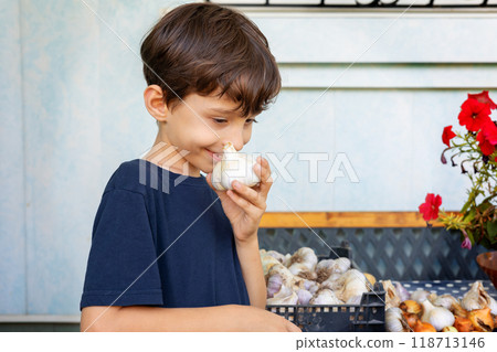 Young boy smelling freshly harvested garlic. Young boy smelling freshly harvested garlic. 118713146