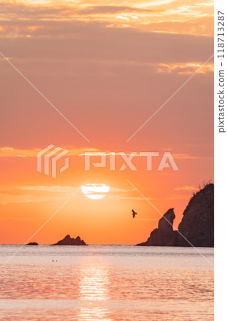 [靜岡縣]大田古海岸被夕陽染上色彩，夕陽從海岸邊落下 118713287