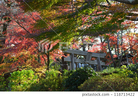 Kakio Village enveloped in autumn leaves 118713422