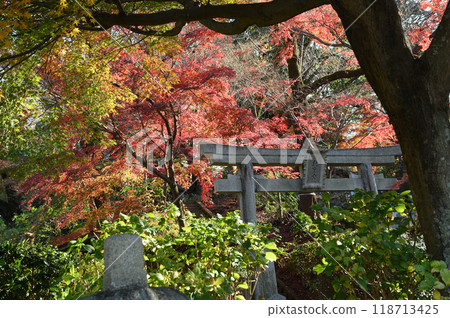 Kakio Village enveloped in autumn leaves Kakio Village enveloped in autumn leaves 118713425