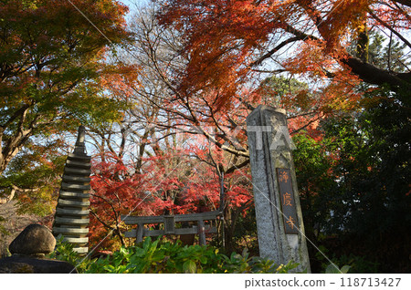 被秋葉包裹的柿野村 118713427