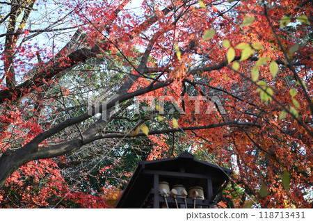 被秋葉包裹的柿野村 被秋葉包裹的柿野村 118713431