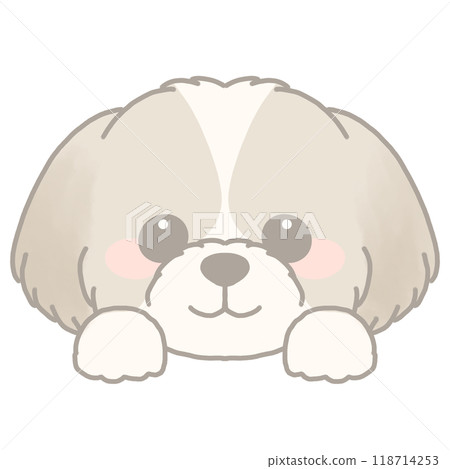 西施犬的插圖 118714253