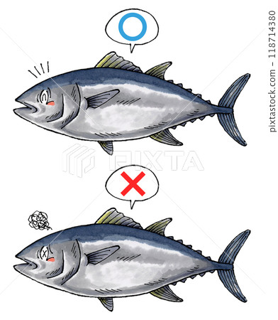 審判鮪魚套裝（Marubatsu） 118714380