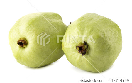Green Ripe Guava isolated on a white background Green Ripe Guava isolated on a white background 118714599