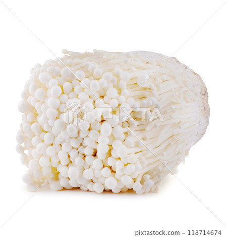 Fresh golden needle mushroom or enoki isolated on a white background Fresh golden needle mushroom or enoki isolated on a white background 118714674