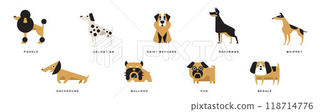 Different Dog Breed Flat Icon and Pictogram with Inscription Vector Set 118714776