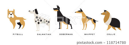 Different Dog Breed Flat Icon and Pictogram with Inscription Vector Set 118714780