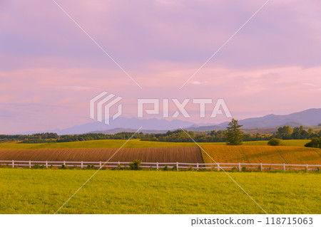[美瑛町志榮山的秋日夕陽] 118715063