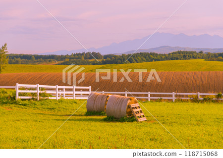 [美瑛町信榮山的秋日夕陽與草卷] 118715068