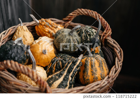 wicker basket filled with colorful decorative gourds, featuring vibrant shades of green, yellow, and orange, perfect for autumn decor at a seasonal market wicker basket filled with colorful decorative gourds, featuring vibrant shades of green, yellow, and orange, perfect for autumn decor at a seasonal market 118715222