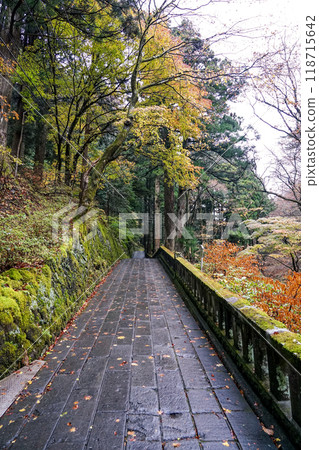 Haruna Shrine's Senbongisugi (Sensugi Cedars) lined with moss-covered cedar trees (Takasaki City, Gunma Prefecture) 118715642