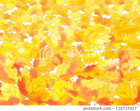 Autumn maple leaves 118715917