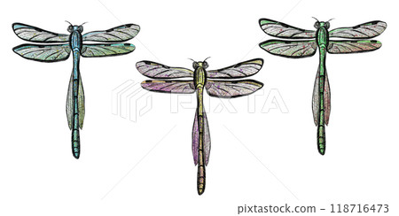 Set of colorful hand drawn dragonflies on a white background 118716473